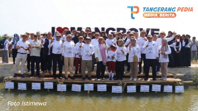 Pemkab Tangerang dan Kemenko Marves Galakkan Konservasi Mangrove
