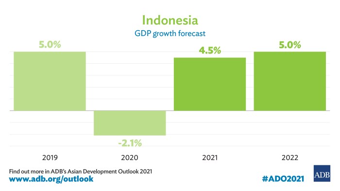 Implikasi kenaikan PPN 12 persen terhadap pertumbuhan ekonomi Indonesia jangka panjang