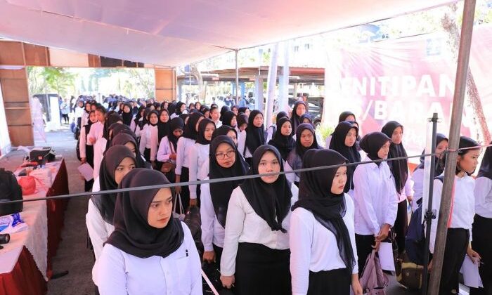 Hasil Seleksi PPPK 2024 Umum dan Prioritas