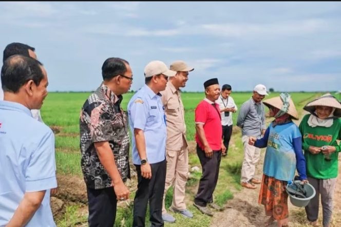 
					pejabat Pemkab Tangerang sedang berbincang dengan petani bawang merah. (Foto: Ist)