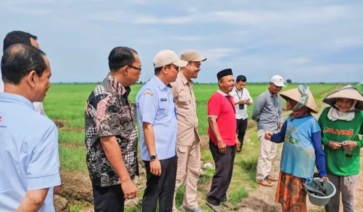 pejabat Pemkab Tangerang sedang berbincang dengan petani bawang merah. (Foto: Ist)