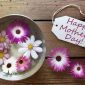 Mother law birthday wishes messages happy wish world