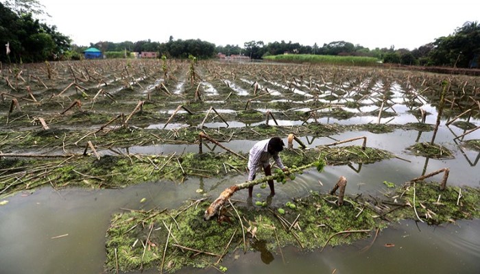 Kebon nanas tangerang banjir