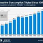 Consumption gasoline chart 1950 since us used gallons statista tripled 1408 infographic