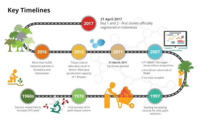 
					Jelaskan Ringkas Fase Historiografi Indonesia