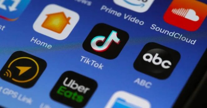 
					Penghitung Followers TikTok Panduan Lengkap