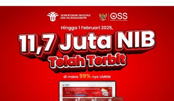 Tampilan OSS untuk pengurusan NIB