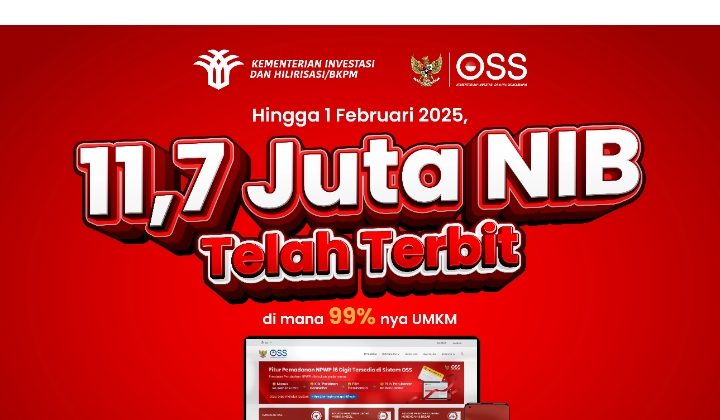 Tampilan OSS untuk pengurusan NIB