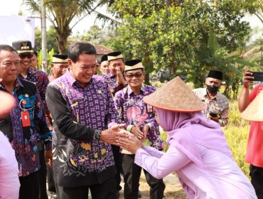 Bupati Tangerang Moch Maesyal Rasyid menyerahkan bantuan Sarana Budidaya Jagung Pulut (foto:ist)