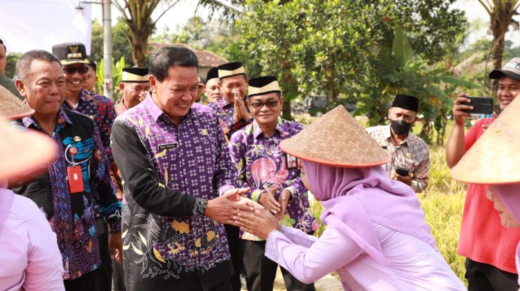 Bupati Tangerang Moch Maesyal Rasyid menyerahkan bantuan Sarana Budidaya Jagung Pulut (foto:ist)