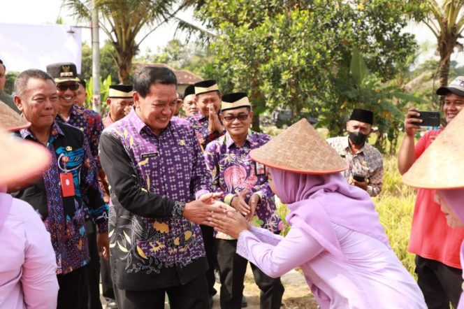 
					Bupati Tangerang Moch Maesyal Rasyid menyerahkan bantuan Sarana Budidaya Jagung Pulut (foto:ist)