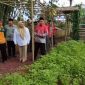 Wakil Bupati Tangerang Intan Nurul Hikmah Menghadiri acara Ramadan Maksimal Berkah di Edufarm Center, Desa Curug Wetan (foto:ist)