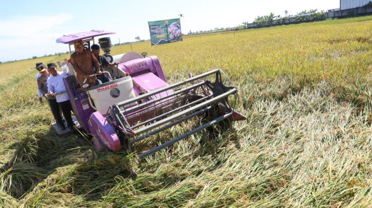 Andra Soni Minta Petani dan Gapoktan di Banten Lapor Jika Harga Jual Gabah Kurang Dari Rp 6.500 Per Kilogram