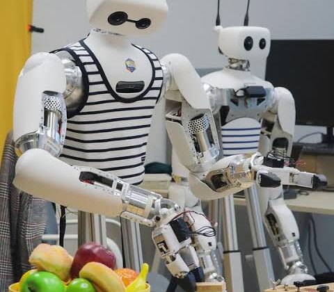 Reachy Robot (image: Maxon)