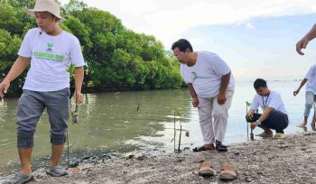Aktivis Lingkungan Tanam 5.000 bibit Mangrove di Pesisir Tangerang
