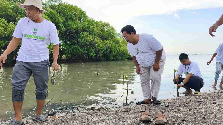 Aktivis Lingkungan Tanam 5.000 bibit Mangrove di Pesisir Tangerang