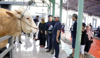 Wali Kota H. Sachrudin meninjau langsung sejumlah lokasi penyembelihan hewan kurban (foto: ist)