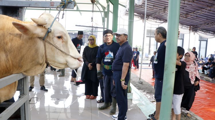Wali Kota H. Sachrudin meninjau langsung sejumlah lokasi penyembelihan hewan kurban (foto: ist)