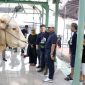 Wali Kota H. Sachrudin meninjau langsung sejumlah lokasi penyembelihan hewan kurban (foto: ist)