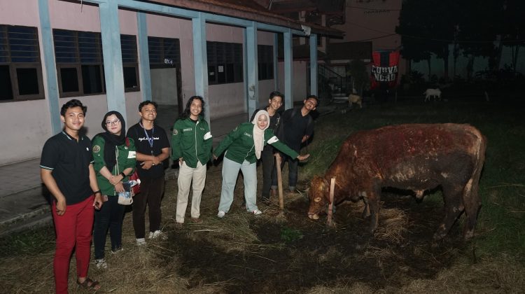 UMT Berkurban Sembilan Ekor Sapi dan Lima Kambing