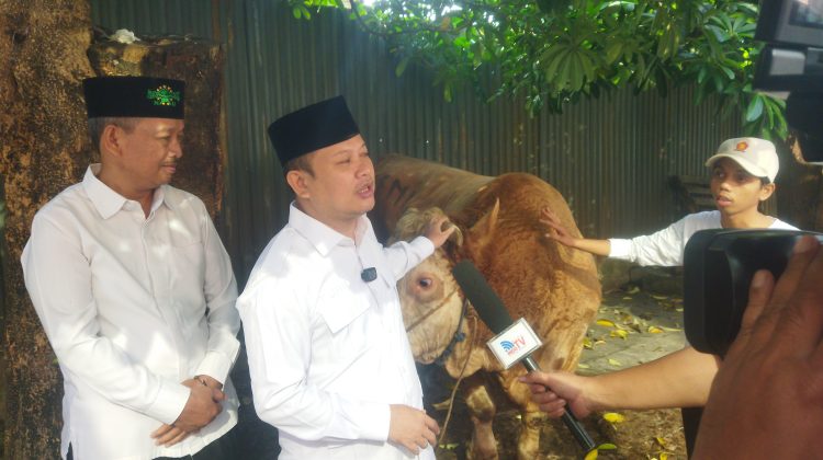 Gerindra Kota Tangerang Berkurban Sembilan Ekor Sapi