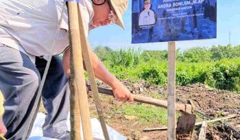 Penanaman pohon pada Gerakan 'Banten Teduh, Kota Tangerang Sejuk'