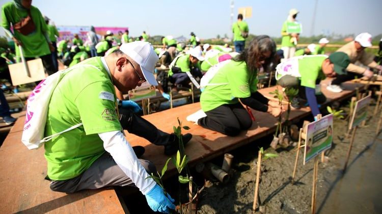 Libatkan 200 Relawan, Tanam 1.000 Pohon Bakau di Tangerang untuk Cegah Banjir