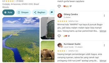 Netizen Indonesia Banjiri Rating dan Ulasan humoris Bintang Hutan Amazon Google Maps
