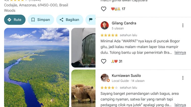 Netizen Indonesia Banjiri Rating dan Ulasan humoris Bintang Hutan Amazon Google Maps