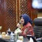 Anggota Komisi XI DPR RI Dapil Banten II, Annisa Mahesa (foto:ist)