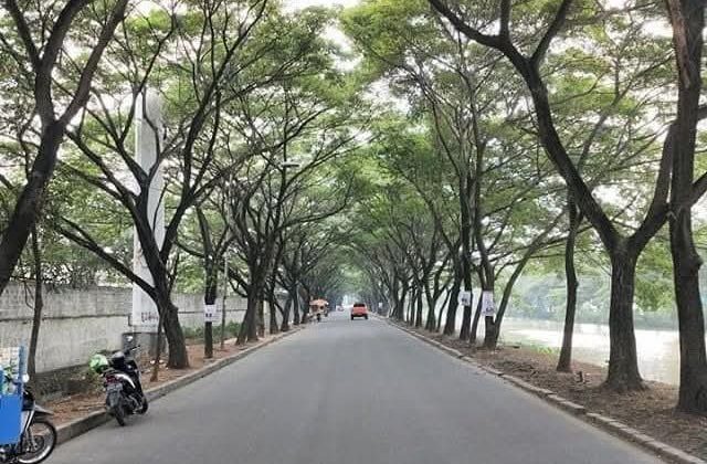 Kondisi Jalan Raya Bayur (foto:ist)