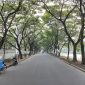 Kondisi Jalan Raya Bayur (foto:ist)
