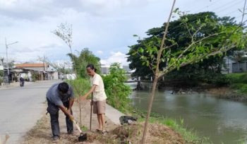 Relawan gerakan 'Banten Teduh, Tangerang Sejuk' (BATAS) saat Menanam Pohon di Bantaran Sungai Cisadane. Foto: (ist)