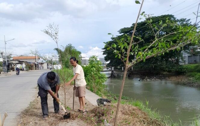 Relawan gerakan 'Banten Teduh, Tangerang Sejuk' (BATAS) saat Menanam Pohon di Bantaran Sungai Cisadane. Foto: (ist)