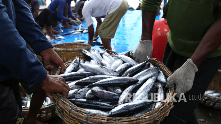 KKP jamin pasokan ikan lancar selama Ramadhan dan Idul Fitri