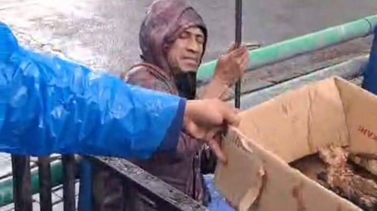 Damkar Ciledug Tangerang Selamatkan Anak Kucing Terjebak Drainase