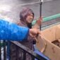 Damkar Ciledug Tangerang Selamatkan Anak Kucing Terjebak Drainase