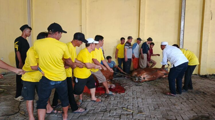 Idul Adha, Ketua Komisi IV DPRD Kota Tangerang Supiani Sembelih 9 Ekor Sapi